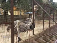 -昆明动物园