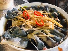 清蒸稀鳞鲑-煲来饱去冷水鱼