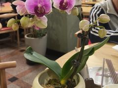 -佛有缘素食馆·荔湾老字号(陈家祠首店)