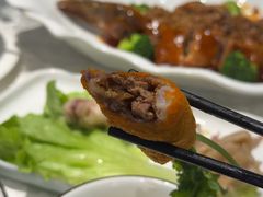 -丁老爷子苏香圆