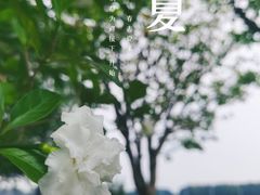 -广州国际生物岛