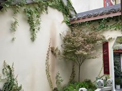 -松云泽