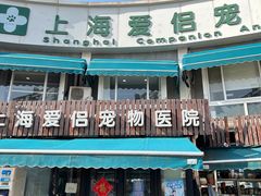 -爱侣宠医·鹦鹉专科·小型哺乳类·异宠专科(灵石路店)