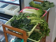 -品雅轩农家乐