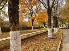 -北京国家会计学院
