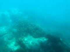 -亚龙湾海底世界