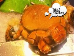 -青岛蓝海御华大饭店（金沙滩店）·蓝钻国际美食自助百汇