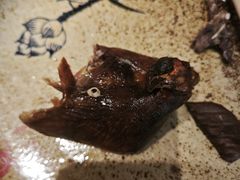 -鸽子窝(宋庄店)
