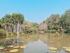 -中国科学院西双版纳热带植物园