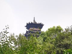 -杭州半山国家森林公园