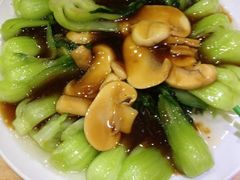 蘑菇菜心-清真益鑫羊肉手抓馆(南大街店)
