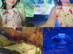 -瑞普利水族馆