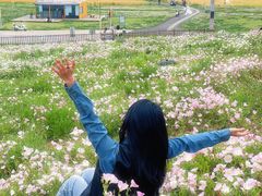 -白鹭湾湿地公园