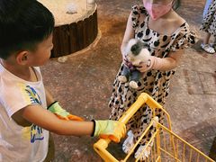 -杭州开元森泊度假乐园