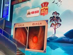 -北京网络广播电视台