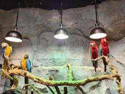 -Zoolung Zoolung动物主题公园(海信广场店)