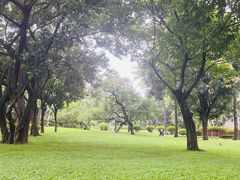 -晓港公园