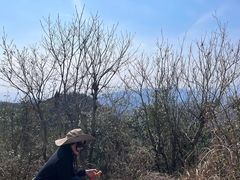 -午潮山国家森林公园