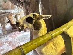 -长鹿旅游休博园