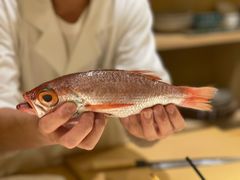 -镹·鱼料理  国产鱼使用店