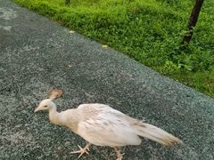 -二一九公园
