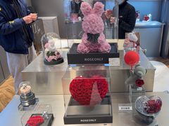 -ROSEONLY诺誓(青岛万象城店)