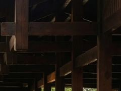 -盘龙城国家考古遗址公园