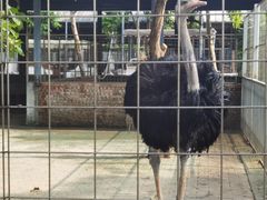 -迪茵湖田家舍生态农场