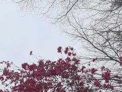 -广州市白云山风景名胜区
