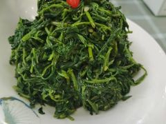 清香枸杞苗-国强手抓(西夏区店)