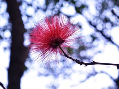 -风云岭森林公园