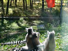-哈尔滨北方森林动物园