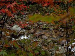 -丹东天桥沟景区