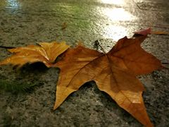 -江苏省美术馆(长江路新馆)