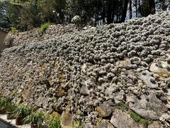 -苍山感通索道