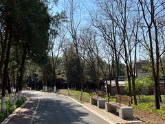 -云岗森林公园