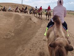 -银肯塔拉沙漠生态旅游景区
