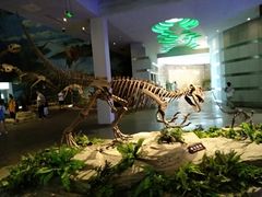 -自贡恐龙博物馆