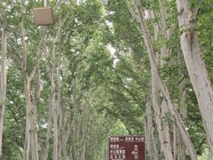 -钟山体育运动公园