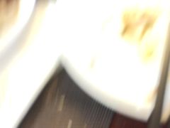 -食家鸽园
