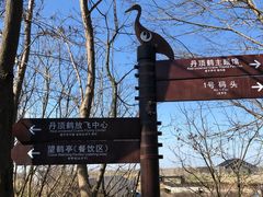 -盐城丹顶鹤湿地生态旅游区