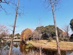 -尚贤河湿地