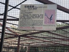 -南昌动物园