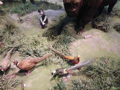 -陕西自然博物馆