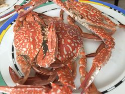 重庆阳光五洲大酒店阳光西餐厅-阳光五洲大酒店·宴会厅