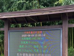 -黄海国家森林公园