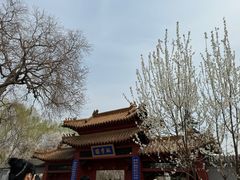-桃花堤公园