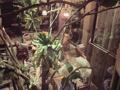 -范设计花园餐酒咖·中西餐·咖啡厅·酒馆