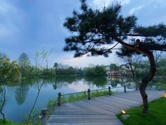 -新荣记(西溪湿地店)