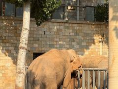 -石家庄市动物园